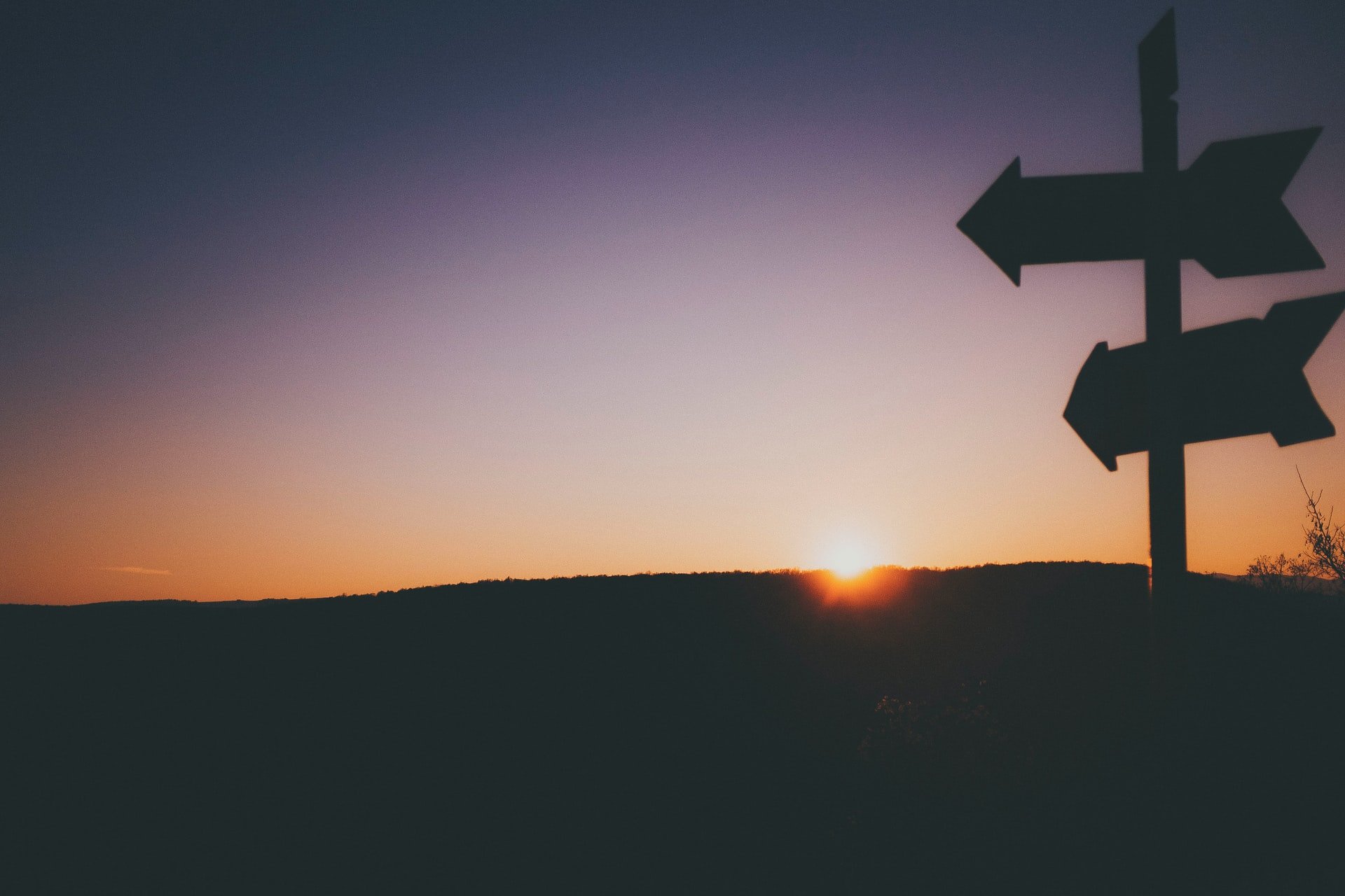 raul-petri-wfVC_75JB9I-unsplash (1)