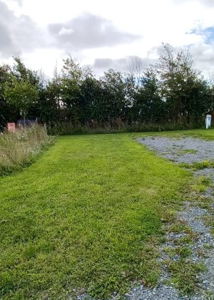 Solo Mum Camping Weekend - Small grass pitch with hardstanding option with EHU